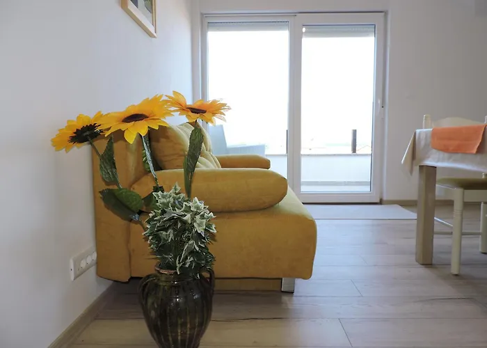 Pansion Berat 보드냔