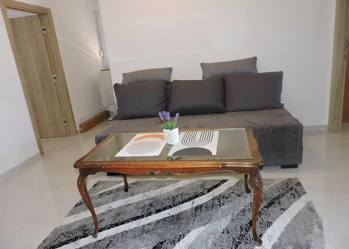 Pansion Berat * 보드냔