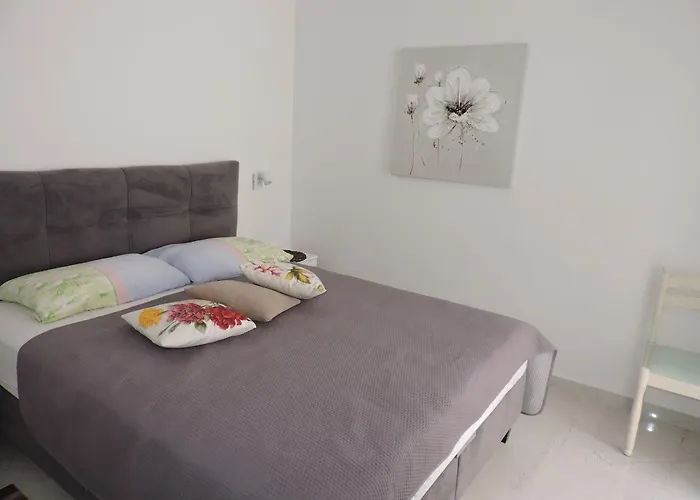 Pansion Berat * 보드냔