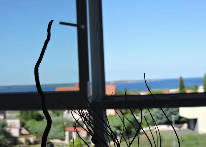 Pansion Berat 아파트